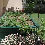 Apartman Laura *