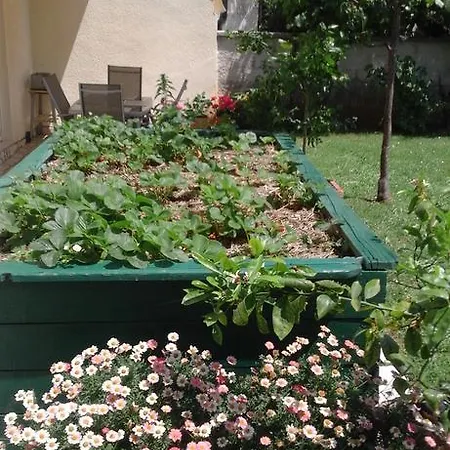 アパート Laura *